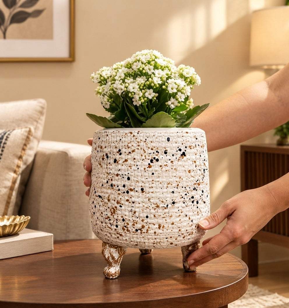 Premium Fiber Decorative Planter / Pots