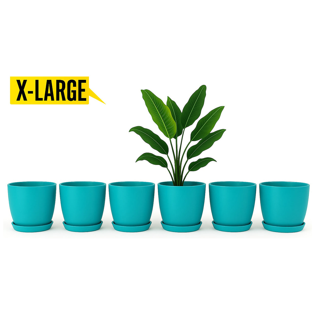 14 August Special Offer Pack of 6 Large Pots