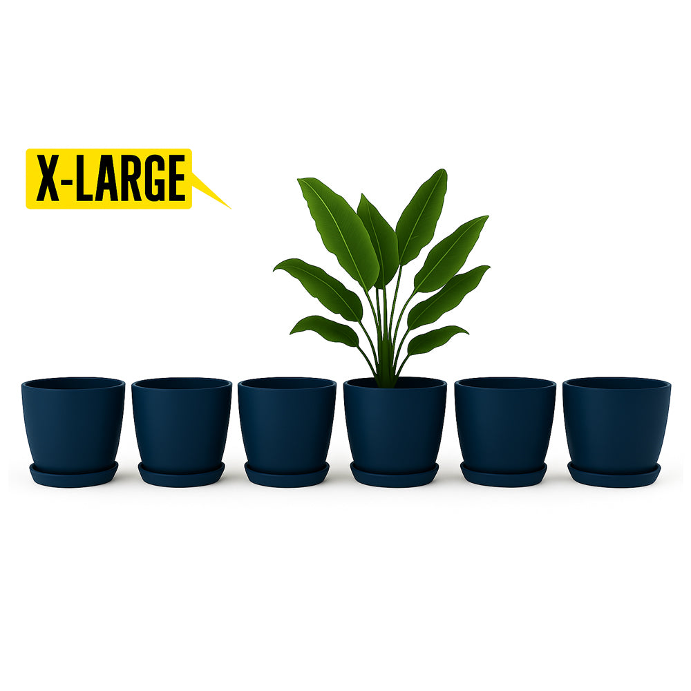 14 August Special Offer Pack of 6 Large Pots