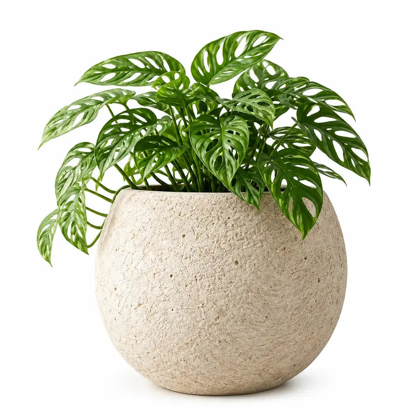 Xtra Large Round Textured Fiber Planter