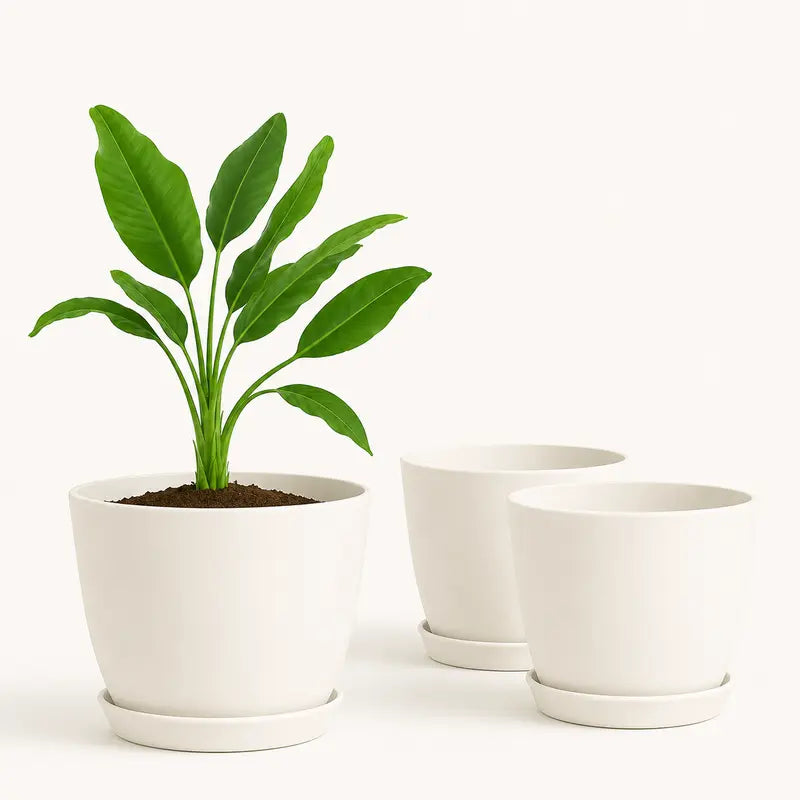Extra Large Plant Pots for Indoor/Outdoor Use with Drainage. Available in Multi-Packs and Seven Vibrant Colors
