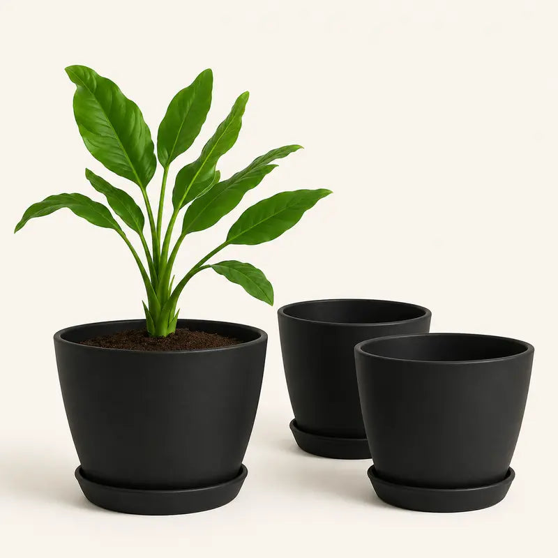 Extra Large Plant Pots for Indoor/Outdoor Use with Drainage. Available in Multi-Packs and Seven Vibrant Colors