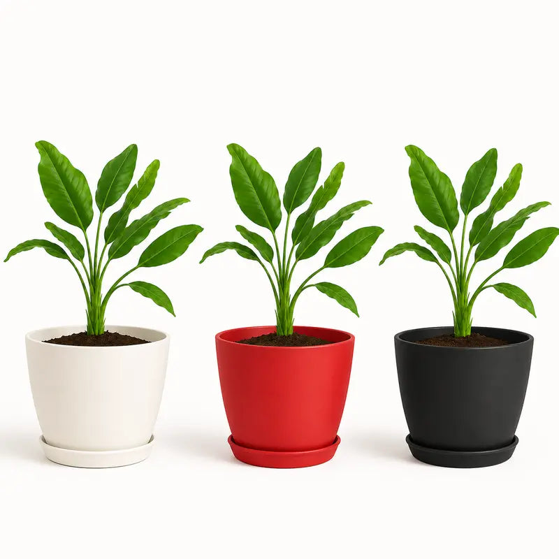 Extra Large Plant Pots for Indoor/Outdoor Use with Drainage. Available in Multi-Packs and Seven Vibrant Colors