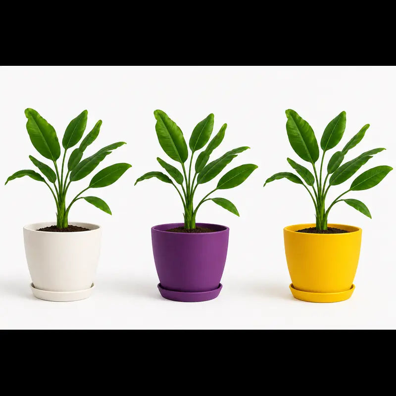 Extra Large Plant Pots for Indoor/Outdoor Use with Drainage. Available in Multi-Packs and Seven Vibrant Colors