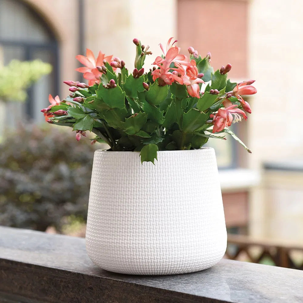 Pack of 2 Vase Lightweight Flower Design Decorative Indoor & Outdoor - White & Black (Without Flower)