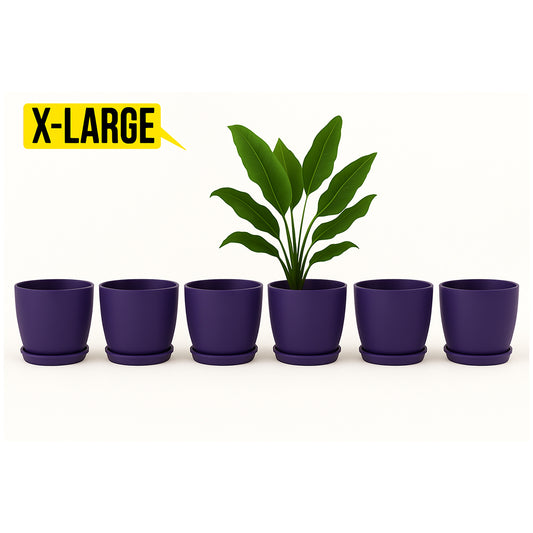 Ramzan Special Offer Pack of 6 Large Pots