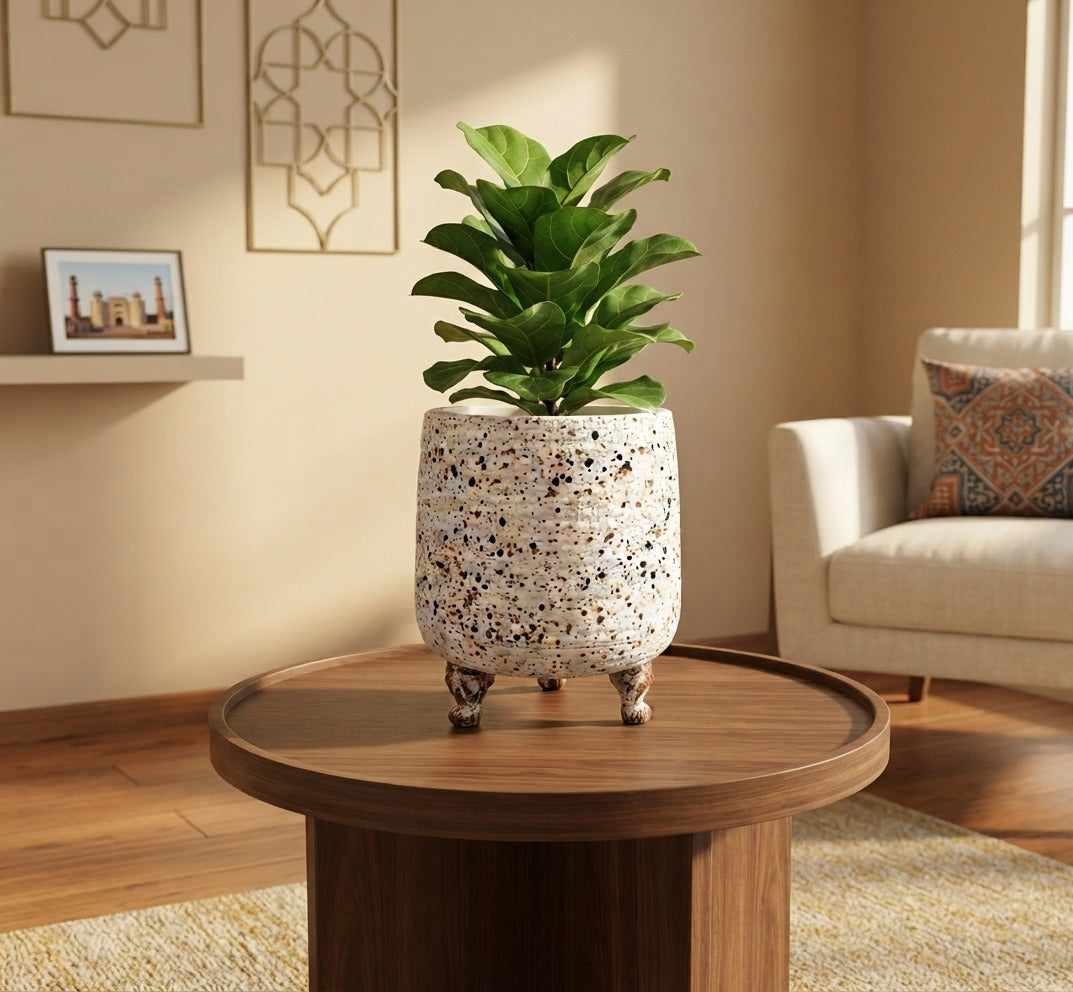 Premium Fiber Decorative Planter / Pots
