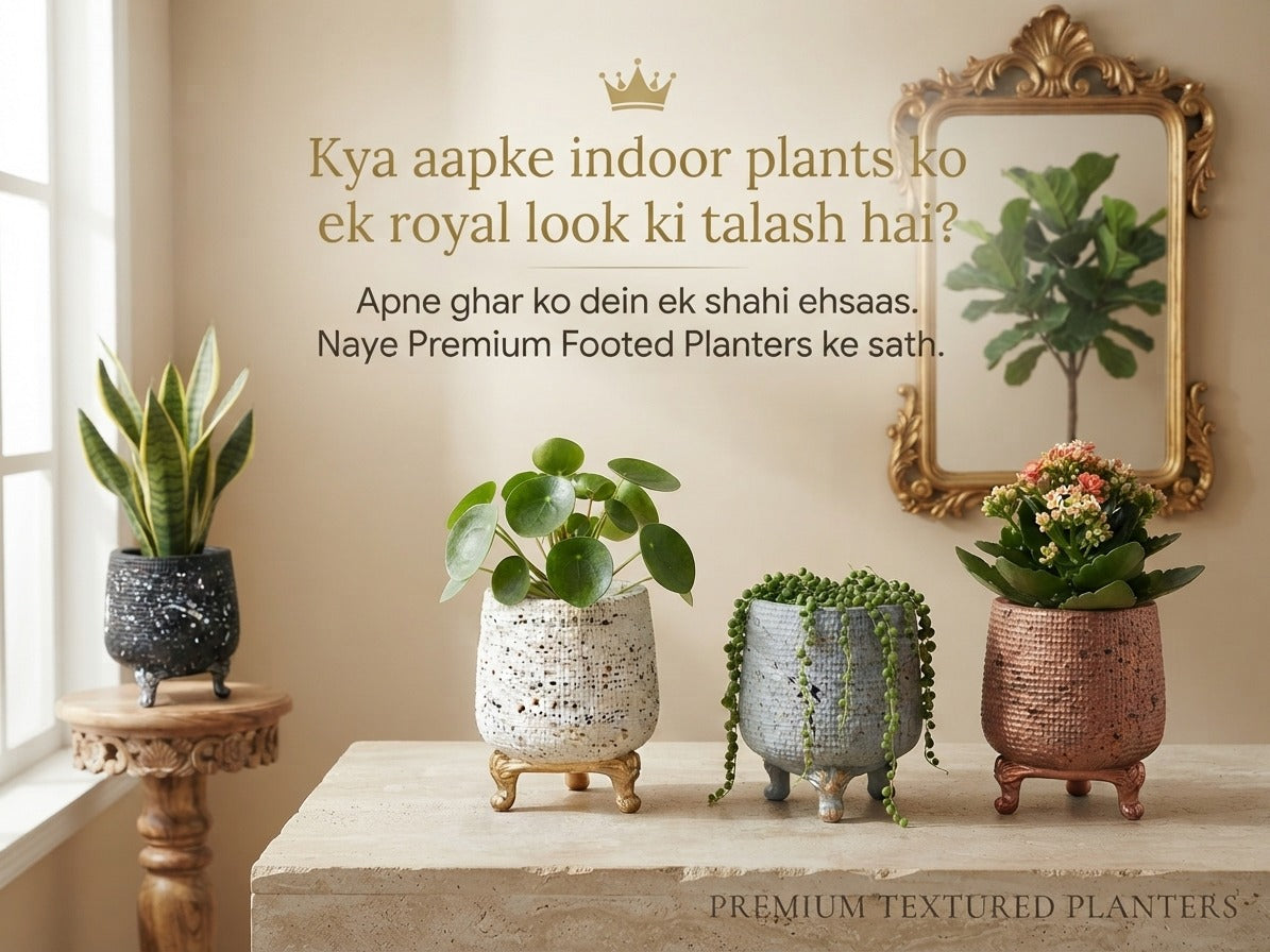 Premium Fiber Decorative Planter / Pots