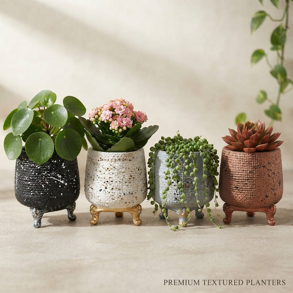Premium Fiber Decorative Planter / Pots