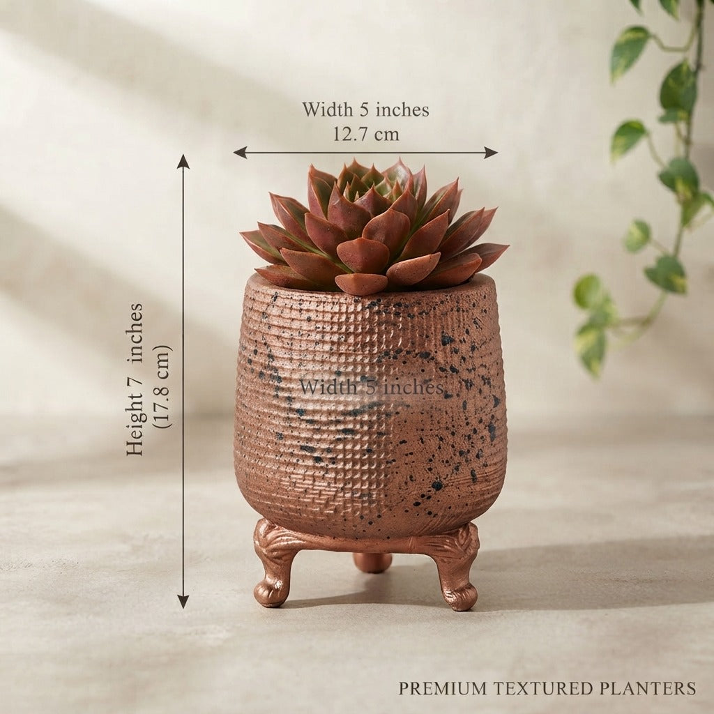 Premium Fiber Decorative Planter / Pots