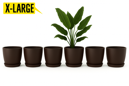 14 August Special Offer Pack of 6 Large Pots