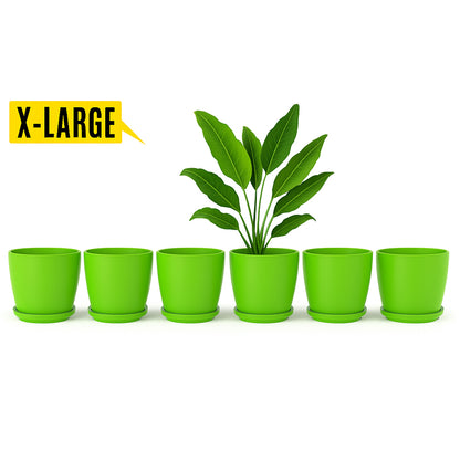 14 August Special Offer Pack of 6 Large Pots